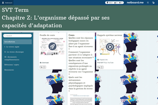 Interactive Learning Pages | netboard.me
