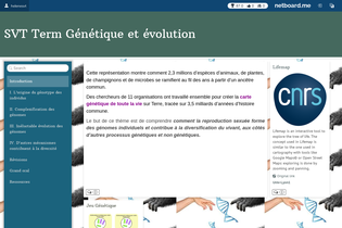 Interactive Learning Pages | netboard.me