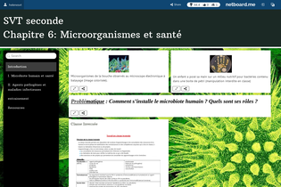 Interactive Learning Pages | netboard.me