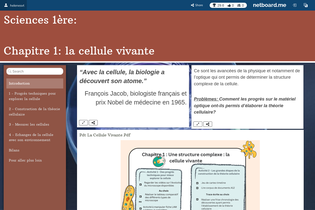 Interactive Learning Pages | netboard.me