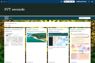 Interactive Learning Pages | netboard.me