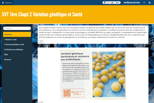 Interactive Learning Pages | netboard.me