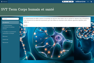 Interactive Learning Pages | netboard.me