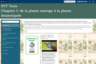 Interactive Learning Pages | netboard.me