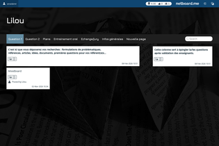 Interactive Learning Pages | netboard.me