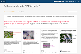 Interactive Learning Pages | netboard.me