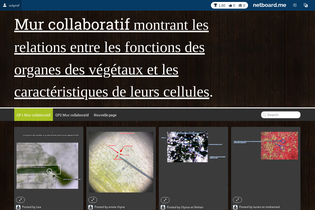 Interactive Learning Pages | netboard.me