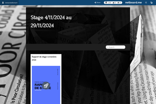 Interactive Learning Pages | netboard.me
