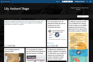 Interactive Learning Pages | netboard.me