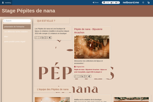 Interactive Learning Pages | netboard.me