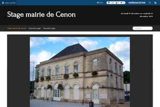 Interactive Learning Pages | netboard.me