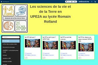 Interactive Learning Pages | netboard.me