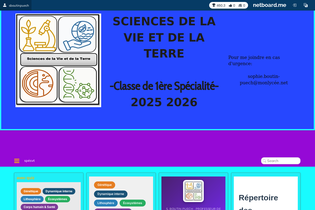 Interactive Learning Pages | netboard.me