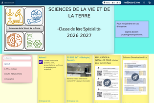 Interactive Learning Pages | netboard.me