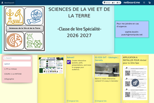 Interactive Learning Pages | netboard.me