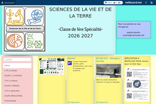 Interactive Learning Pages | netboard.me
