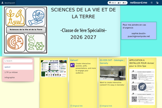 Interactive Learning Pages | netboard.me