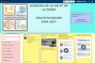 Interactive Learning Pages | netboard.me