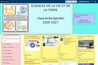Interactive Learning Pages | netboard.me