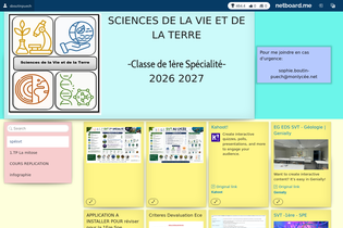 Interactive Learning Pages | netboard.me