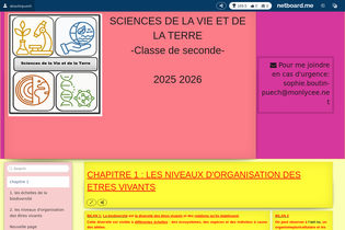 Interactive Learning Pages | netboard.me