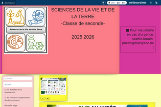 Interactive Learning Pages | netboard.me