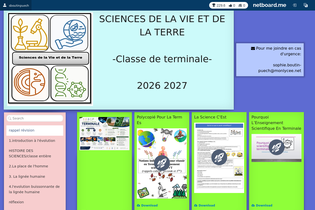 Interactive Learning Pages | netboard.me
