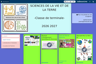 Interactive Learning Pages | netboard.me