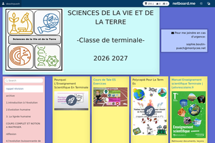 Interactive Learning Pages | netboard.me