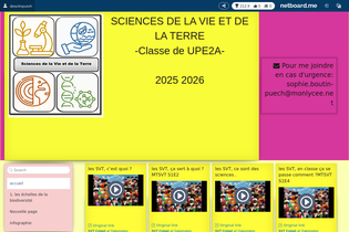 Interactive Learning Pages | netboard.me