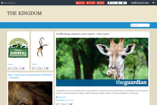 Interactive Learning Pages | netboard.me