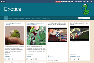 Interactive Learning Pages | netboard.me