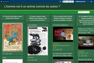 Interactive Learning Pages | netboard.me