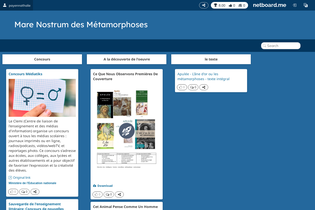 Interactive Learning Pages | netboard.me