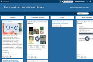 Interactive Learning Pages | netboard.me