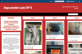 Interactive Learning Pages | netboard.me