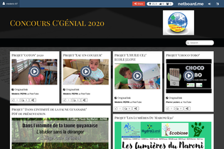 Interactive Learning Pages | netboard.me
