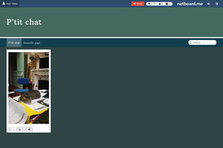 Interactive Learning Pages | netboard.me