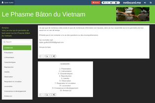 Interactive Learning Pages | netboard.me