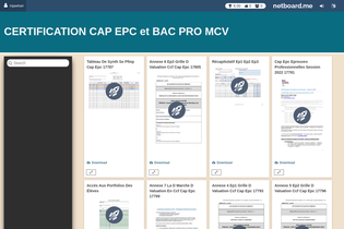 Interactive Learning Pages | netboard.me