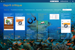 Interactive Learning Pages | netboard.me