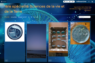 Interactive Learning Pages | netboard.me