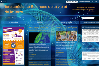 Interactive Learning Pages | netboard.me