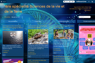 Interactive Learning Pages | netboard.me