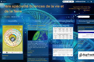 Interactive Learning Pages | netboard.me