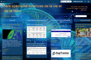 Interactive Learning Pages | netboard.me