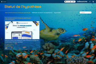 Interactive Learning Pages | netboard.me