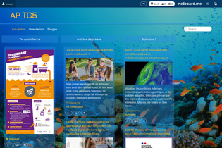 Interactive Learning Pages | netboard.me