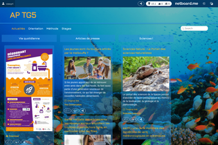 Interactive Learning Pages | netboard.me