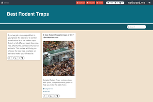 Interactive Learning Pages | netboard.me